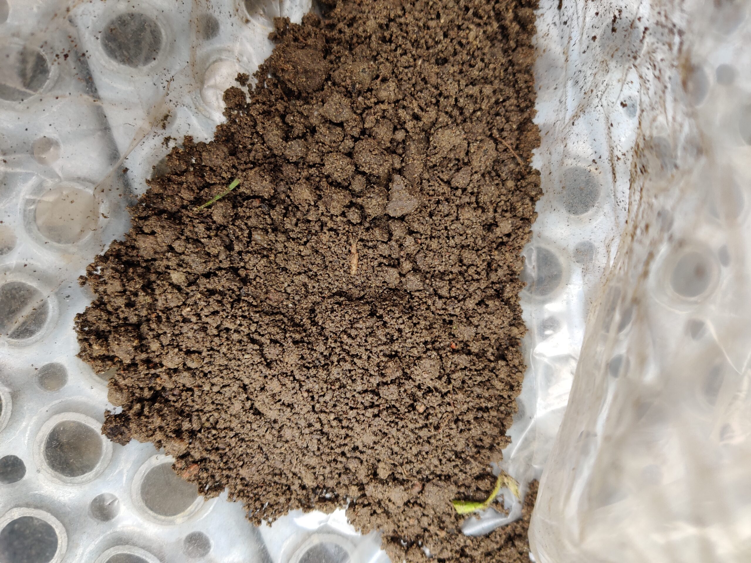 19. november 2025:  PFAS – eksponering, risiko og EU’s Soil Monitoring Law